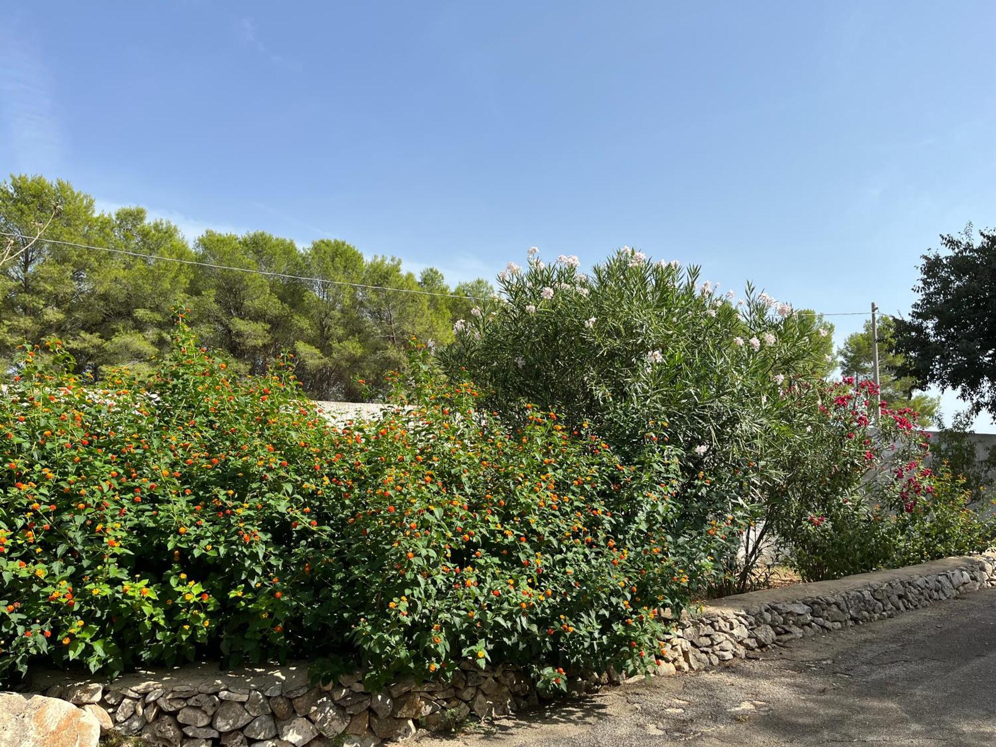 Casette Masseria La Camardia Sava Exterior foto