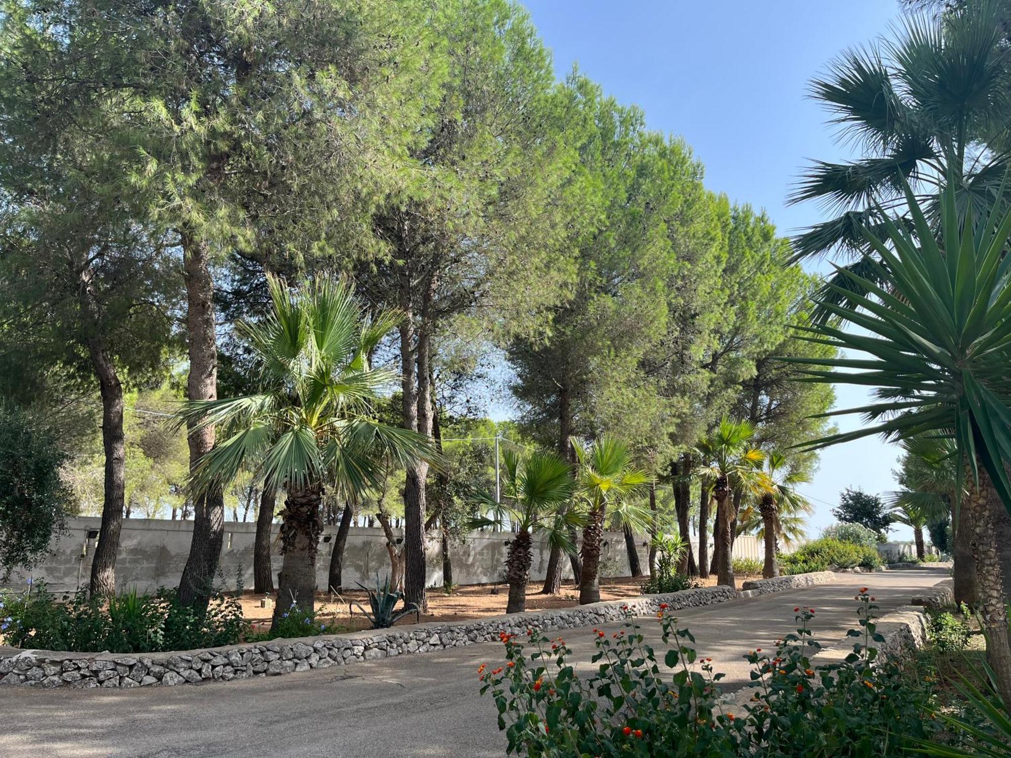 Casette Masseria La Camardia Sava Exterior foto
