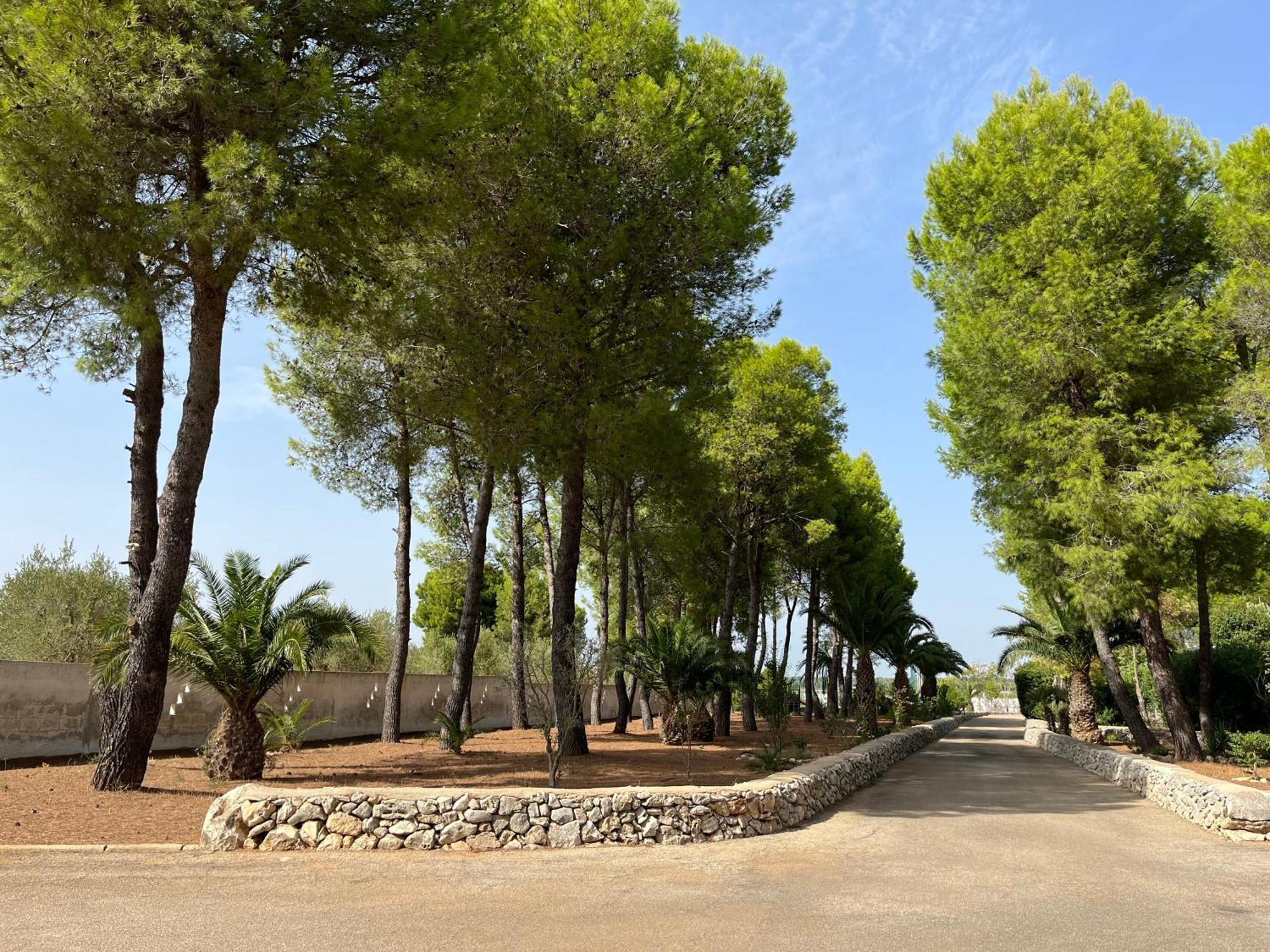 Casette Masseria La Camardia Sava Exterior foto