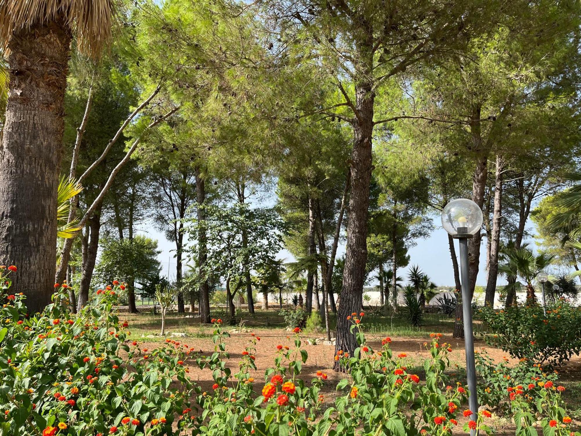 Casette Masseria La Camardia Sava Exterior foto